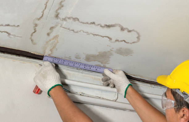 Reliable Mold Remediation contractor in Clarksville, MI by Water Damage Irwin